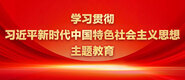 黑丝口美女操学习贯彻习近平新时代中国特色社会主义思想主题教育_fororder_ad-371X160(2)